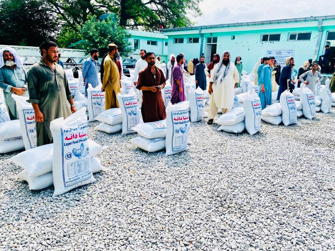 third-round distribution of purified poultry feed under the project Life-saving Food Assistance and Resilience Improvement for Vulnerable Households in Nangarhar Province.